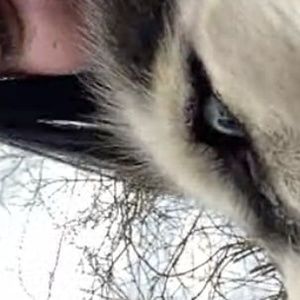 Meet your Posher, Aiden